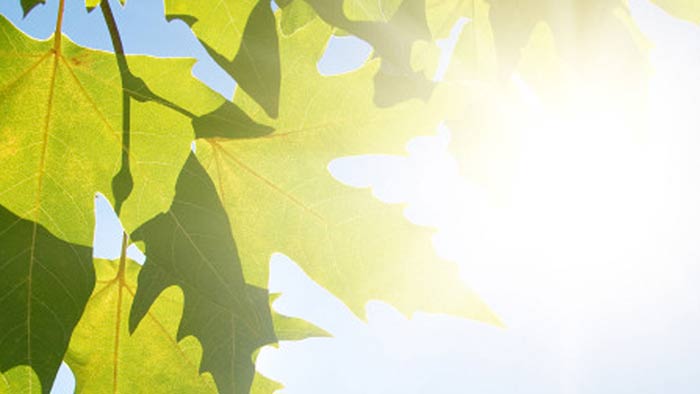 Summer’s heat could exacerbate COPD symptoms